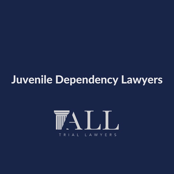 Exploring the Nuances of Juvenile Dependency Cases in California: Unraveling the Roles of Social Workers and Defense Attorneys